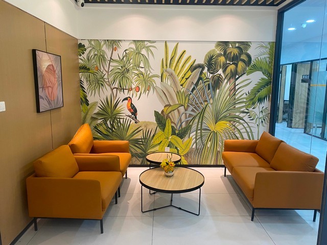 防虫小麦品种供应