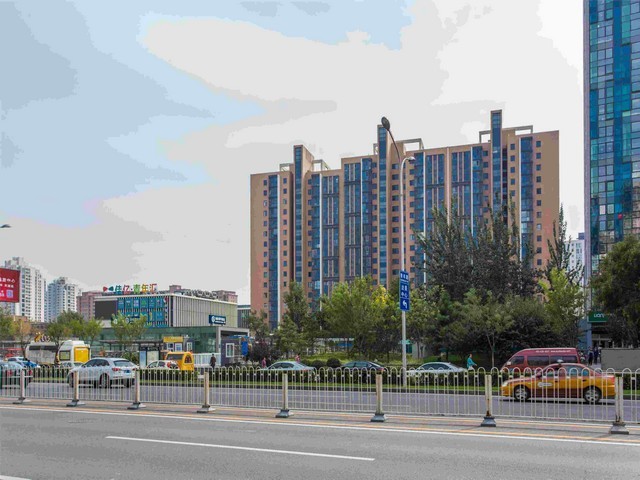 陕西茉莉花花茶种类